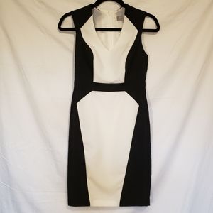 NWOT Dorothy Perkins Sheath Dress